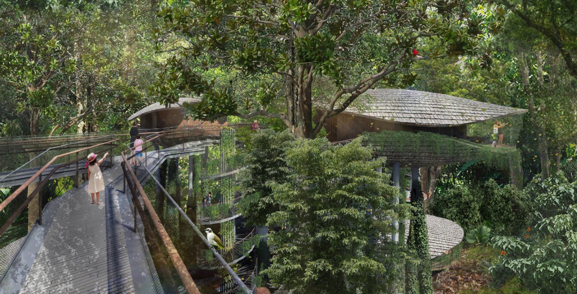 Architectural illustration of an elevated walkway at the resort. Image courtesy of Mandai Park Holdings.