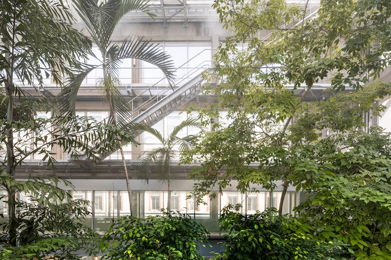 The tropical glasshouse
