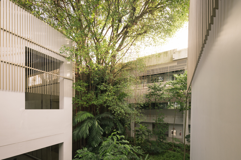 The jungle-like landscaping in the central courtyard builds around an existing banyan tree.